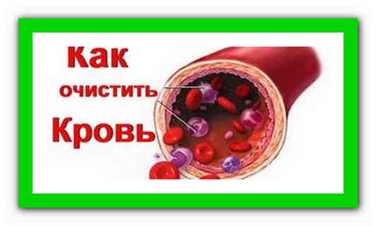 Чем почистить кровь в организме. Как можно почистить кровь. Чистка крови в организме.