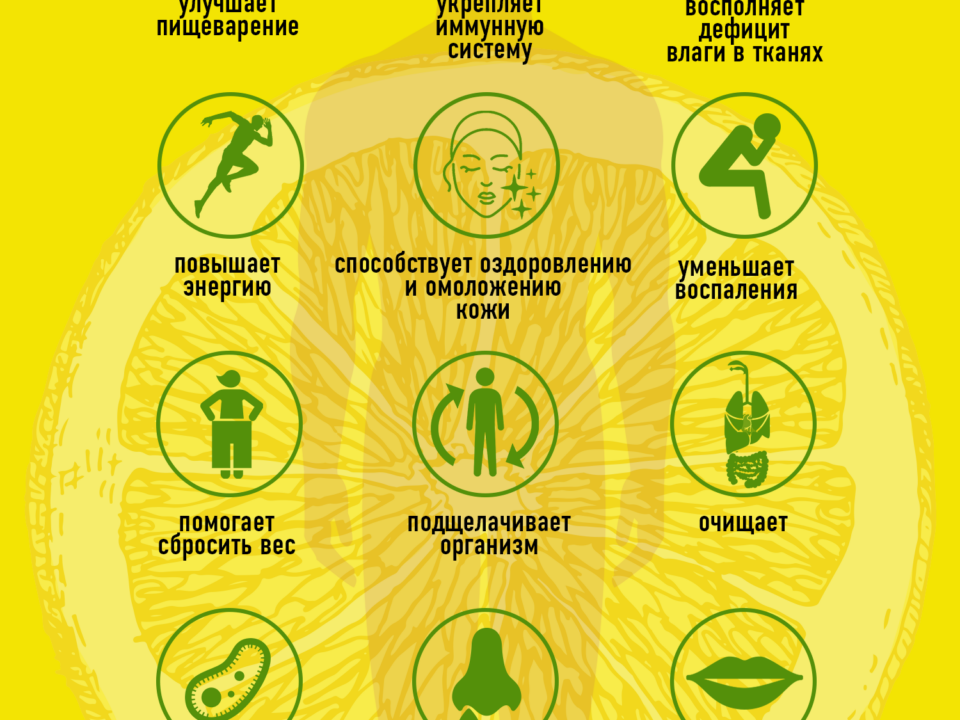 kak-sdelat-limonnuyu-vodu-v-domashnix-usloviyax-dlya-poxudeniya