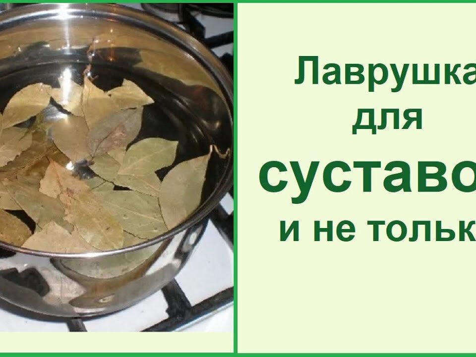 lechenie-lavrovym-listom-sustavov-v-domashnix-usloviyax