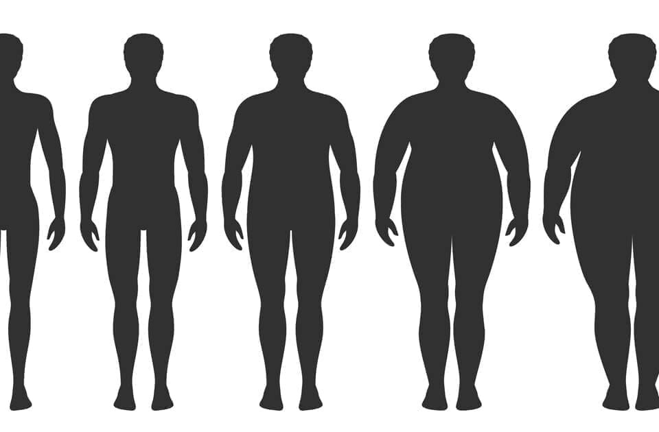 body-mass.jpg